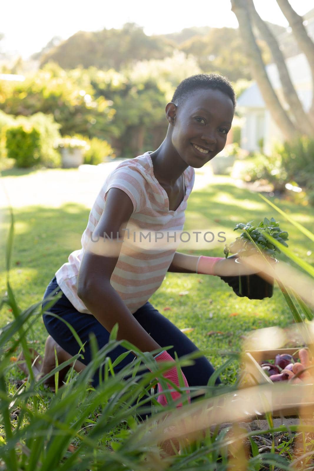 Portrait of african american woman gardening on sunny garden terrace. staying at home in isolation during quarantine lockdown.