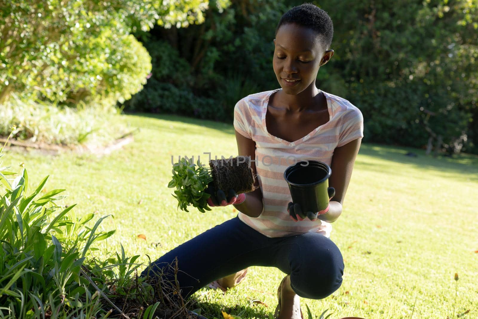 African american woman gardening on sunny garden terrace. staying at home in isolation during quarantine lockdown.