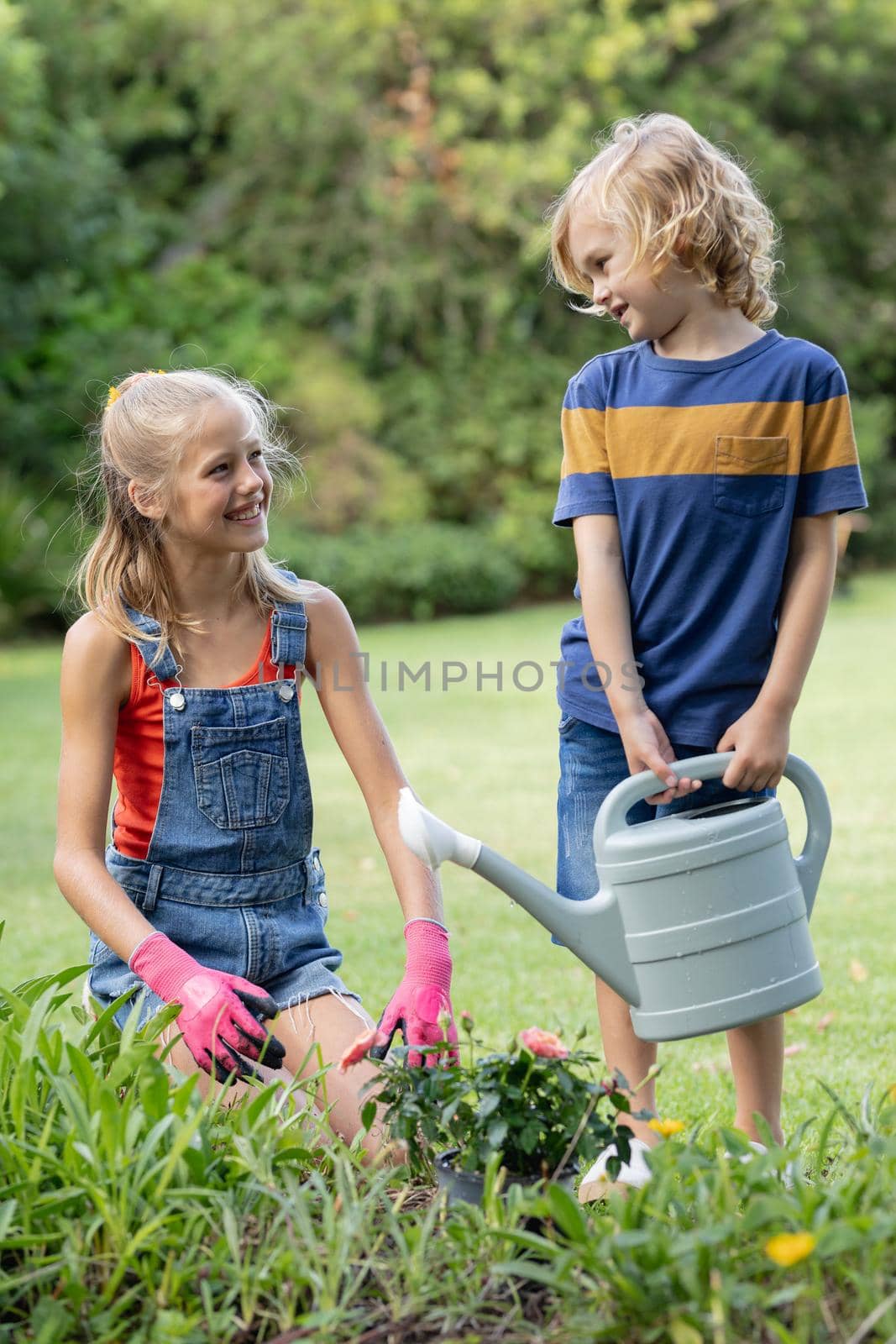 Smiling caucasian brother and sister in garden watering plants and gardening together by Wavebreakmedia