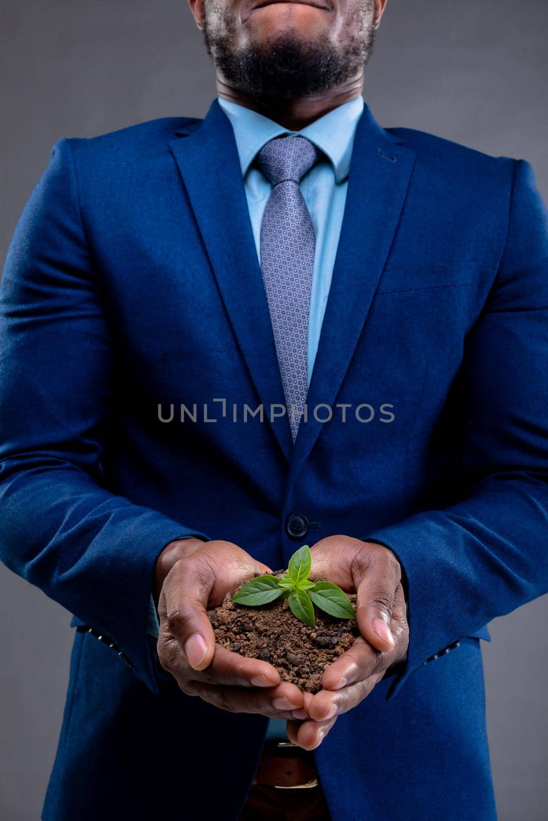 Mid section of african american businessman holding a seedling against grey background by Wavebreakmedia