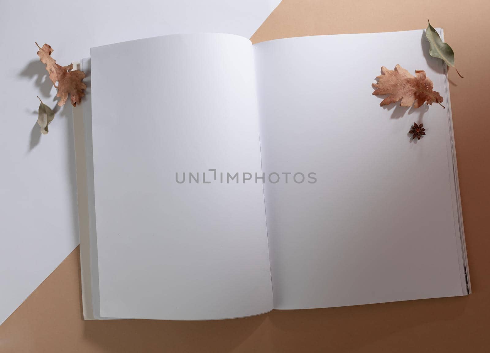 Composition of opened book with blank pages decorated with dry leaves on white and beige. reading, writing and copy space concept.