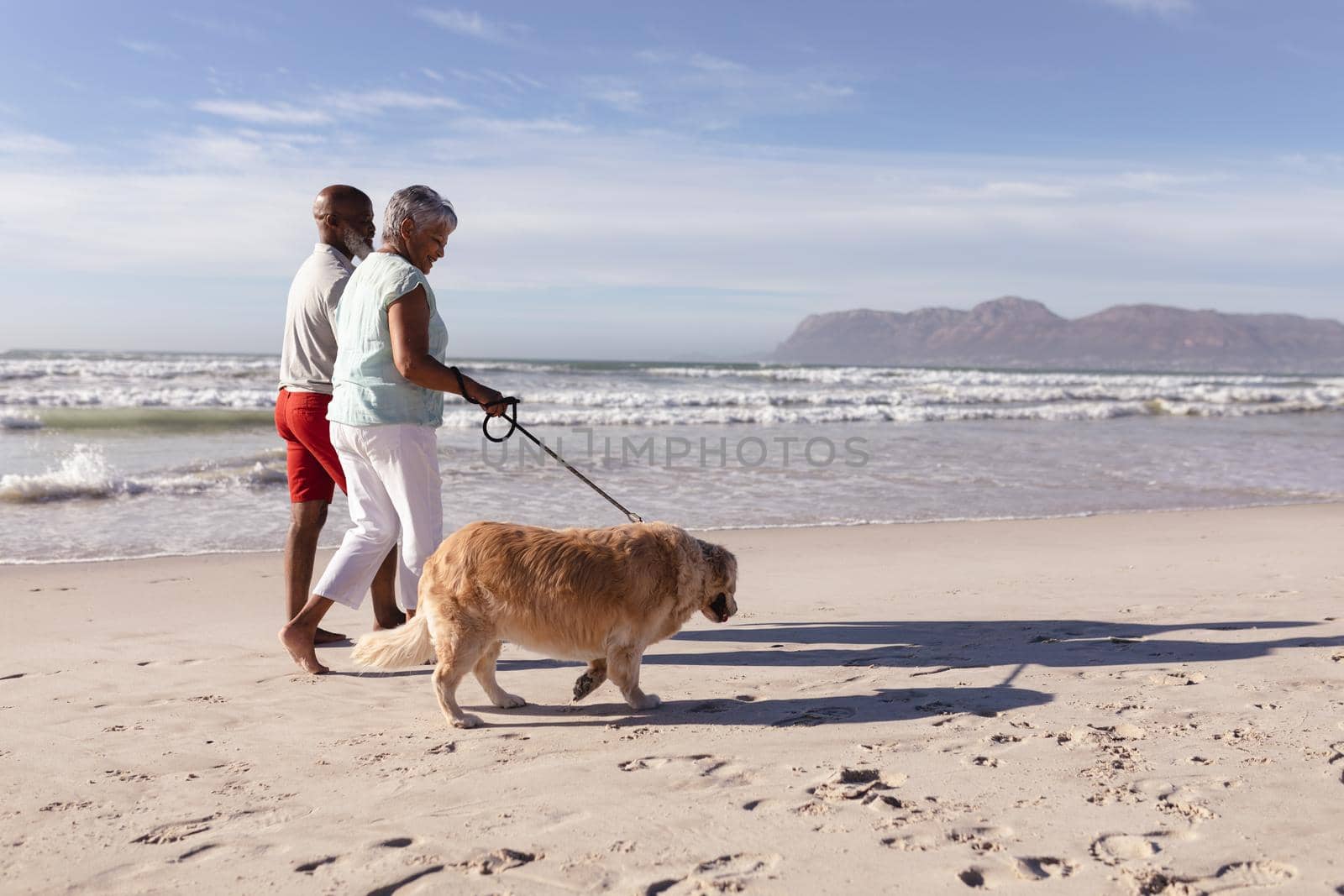 Senior african american couple walking a dog at the beach by Wavebreakmedia