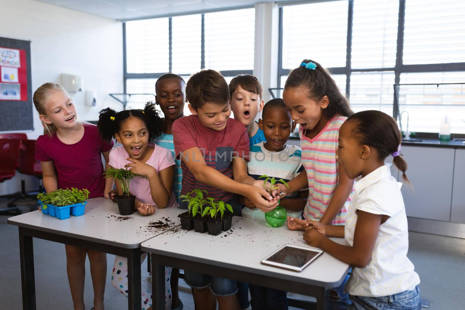 Group of diverse students transplanting and watering plant seedlings together at school. school and education concept