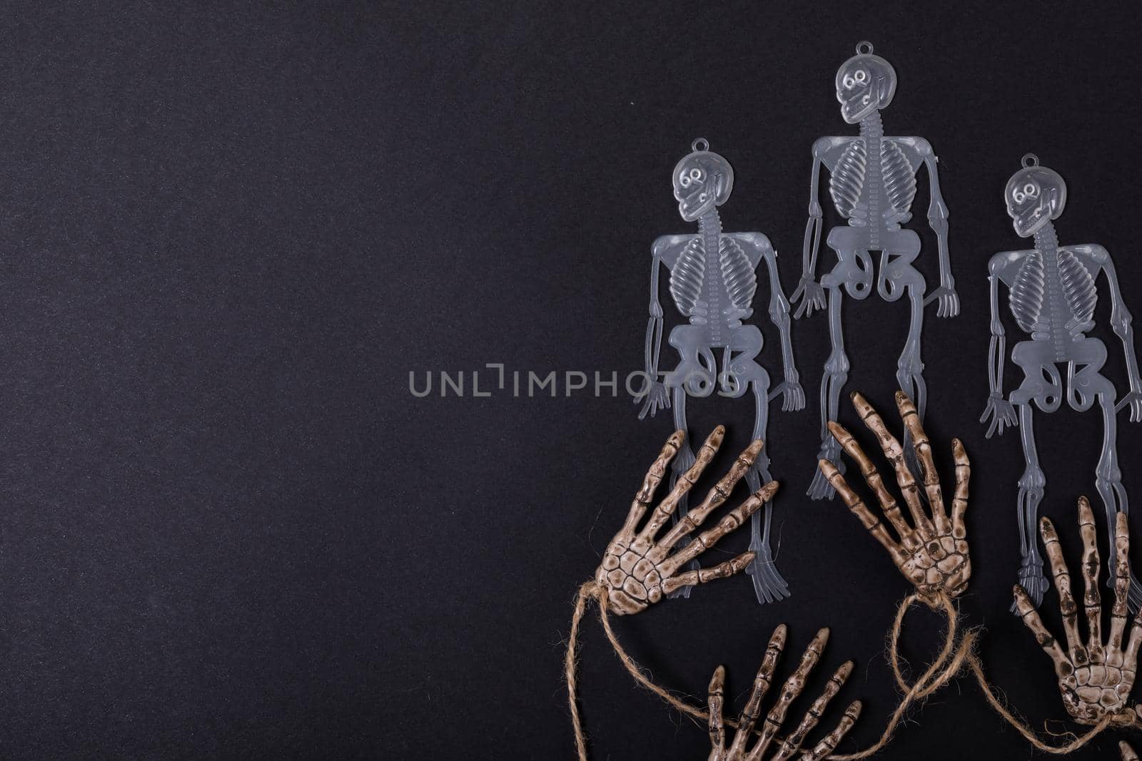 Composition of halloween decorations with skeletons and hands on black background. halloween tradition and celebration concept.