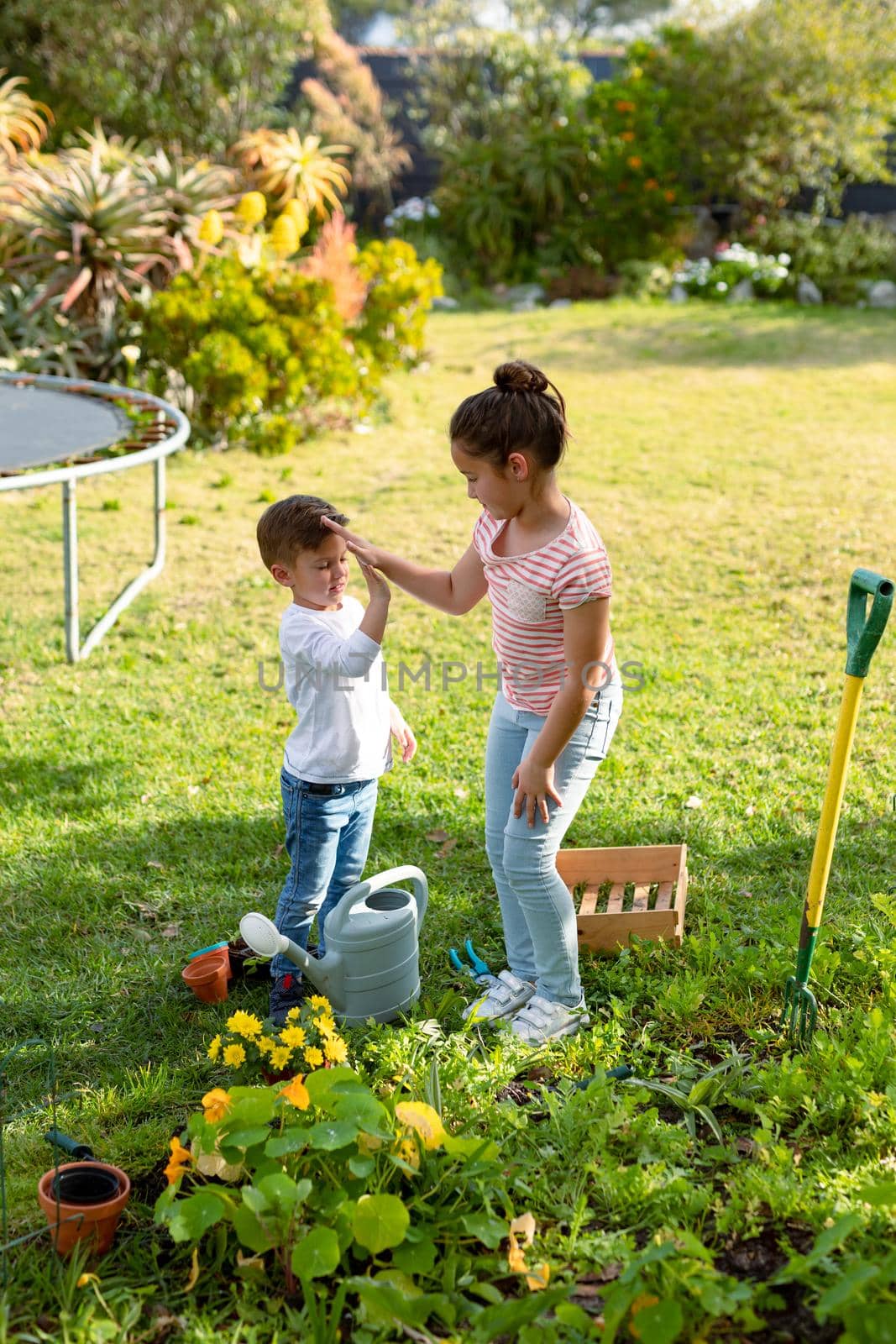 Happy caucasian sister and brother gardening together, giving high five. family time, having fun together at home and garden.