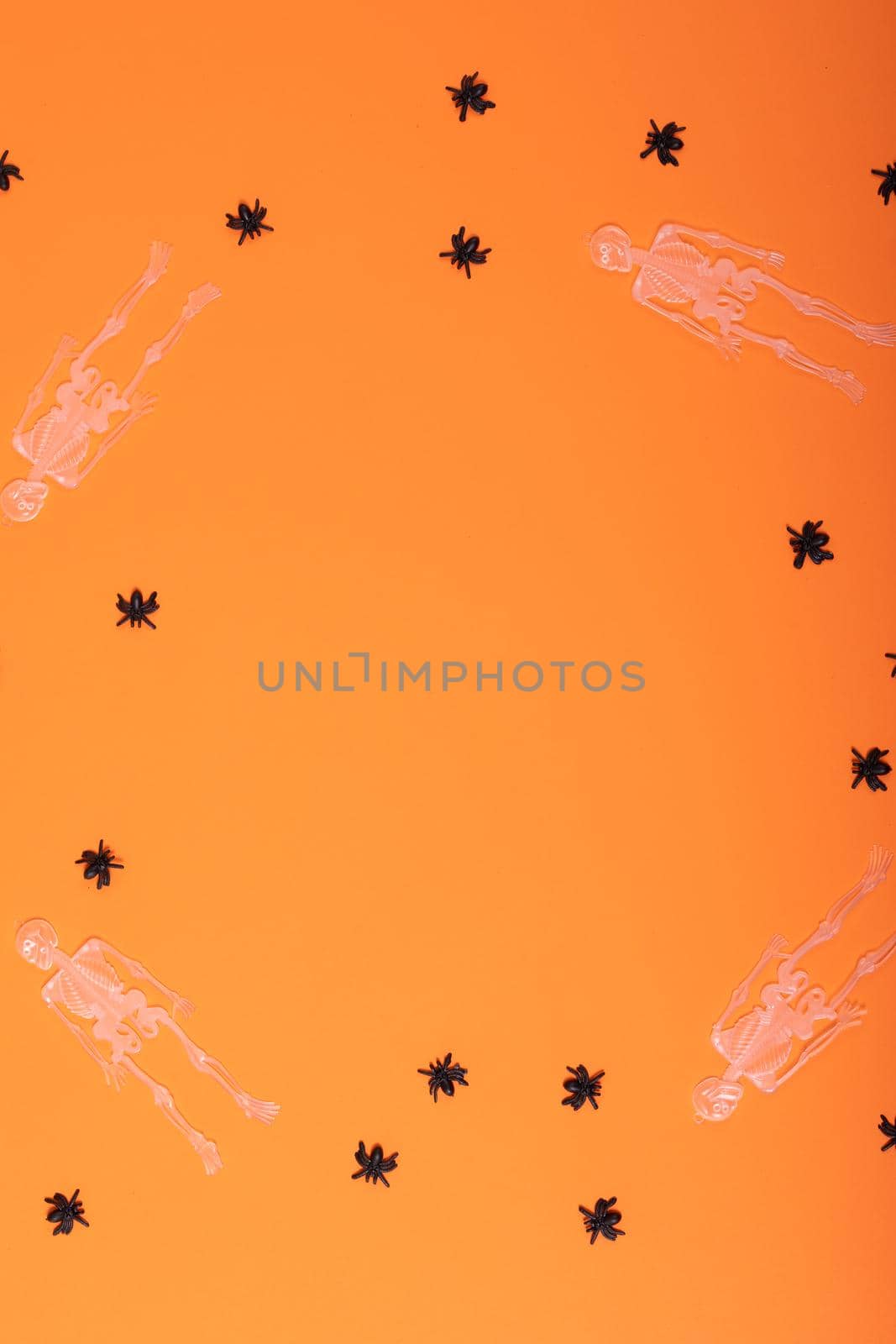 Composition of halloween decorations with black spiders and skeletons on orange background by Wavebreakmedia