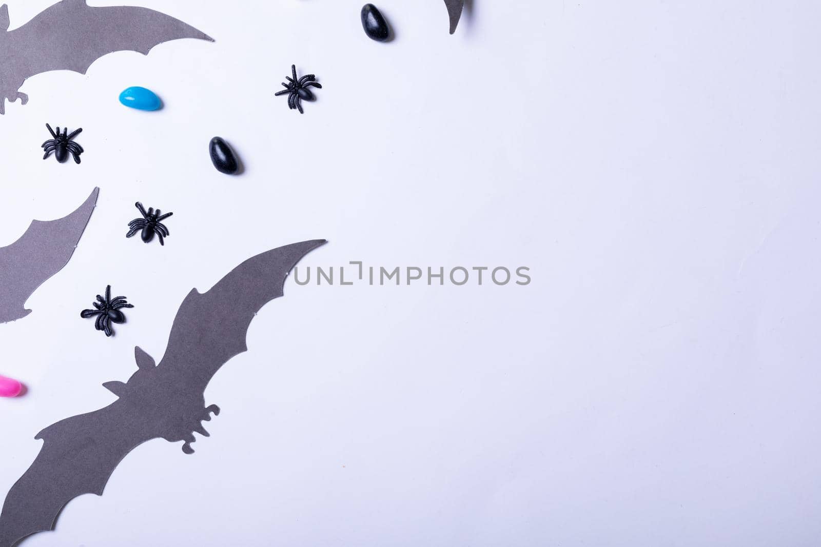 Composition of halloween decorations with spiders, bats and sweets on white background. halloween tradition and celebration concept.