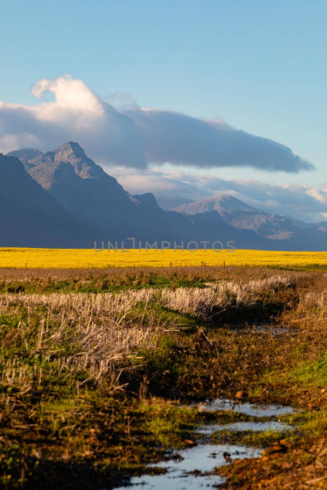 General view of countryside landscape with cloudless sky. environment, sustainability, ecology, renewable energy, global warming and climate change awareness.