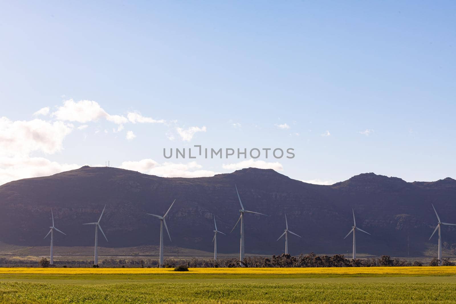 General view of wind turbines in countryside landscape with cloudless sky. environment, sustainability, ecology, renewable energy, global warming and climate change awareness.