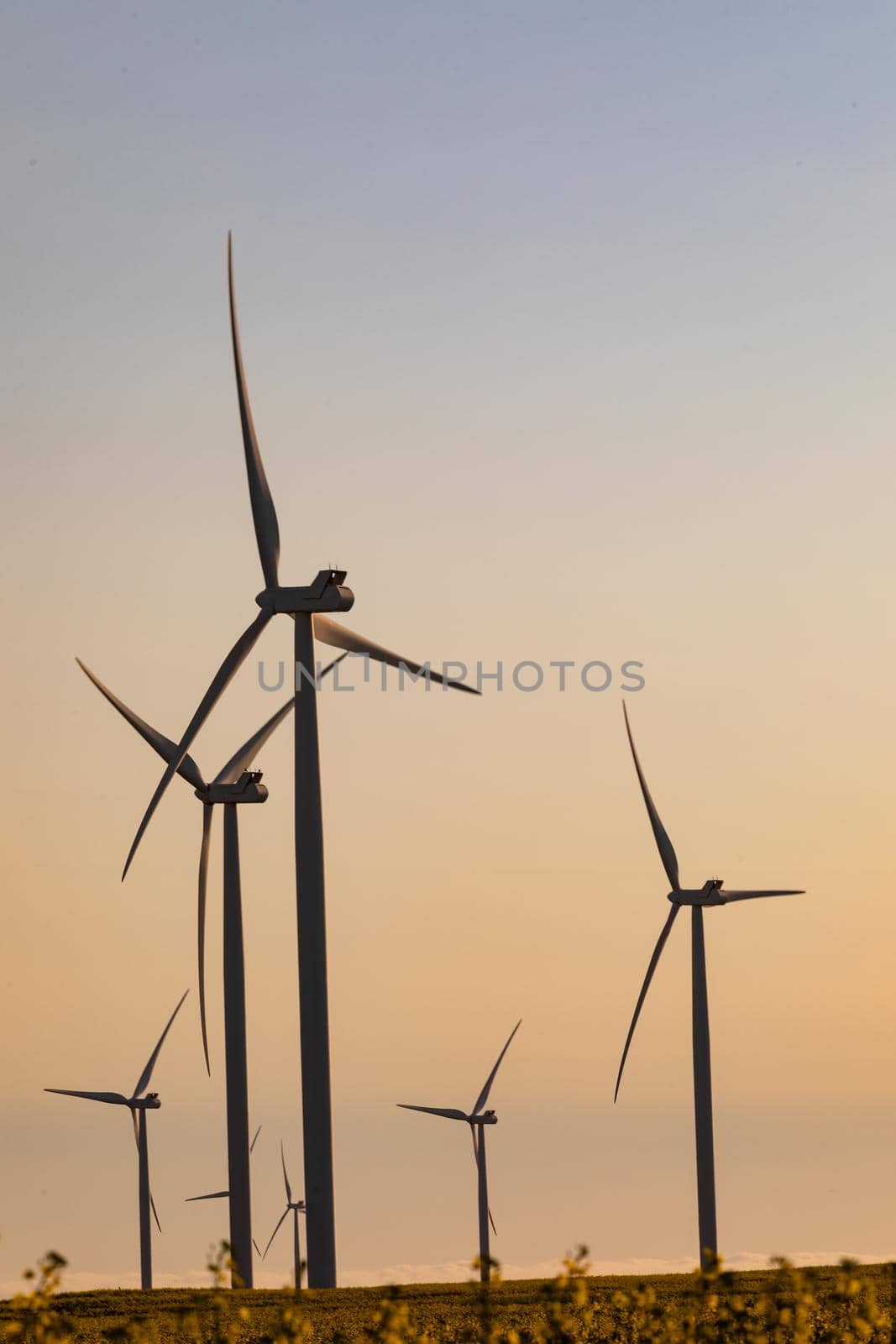 General view of wind turbines in countryside landscape with cloudless sky by Wavebreakmedia