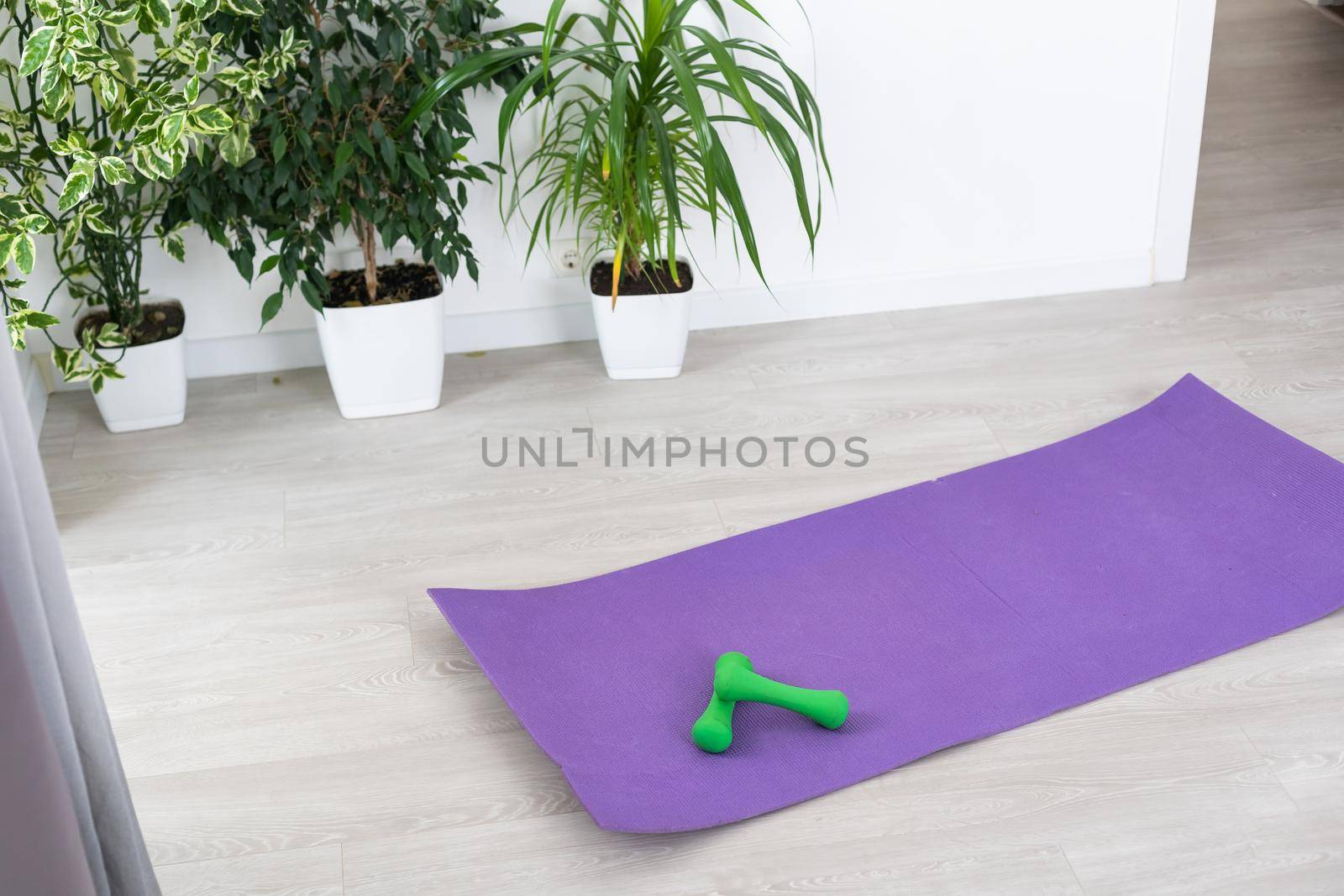 Training at home concept, interior, decorative sport in the room with gym fitness exercise purple mat, dumbbell by Andelov13