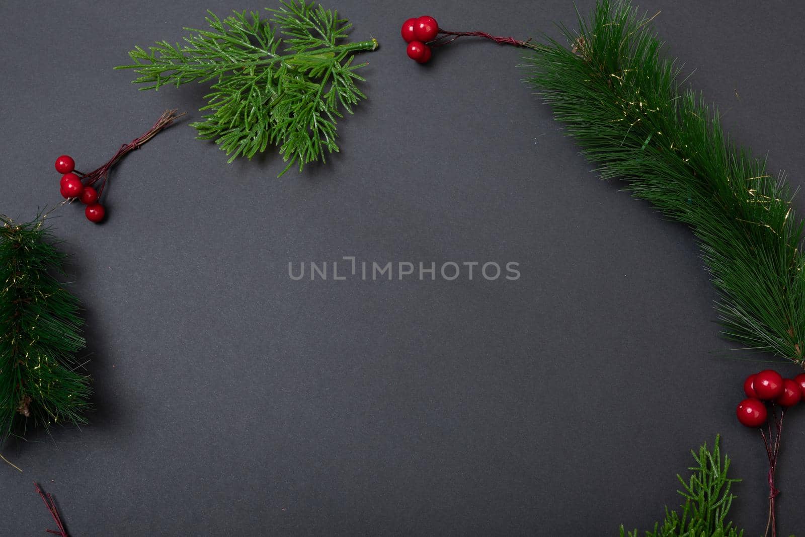 Composition of tree branches with berries and copy space on black background. christmas, tradition and celebration concept.