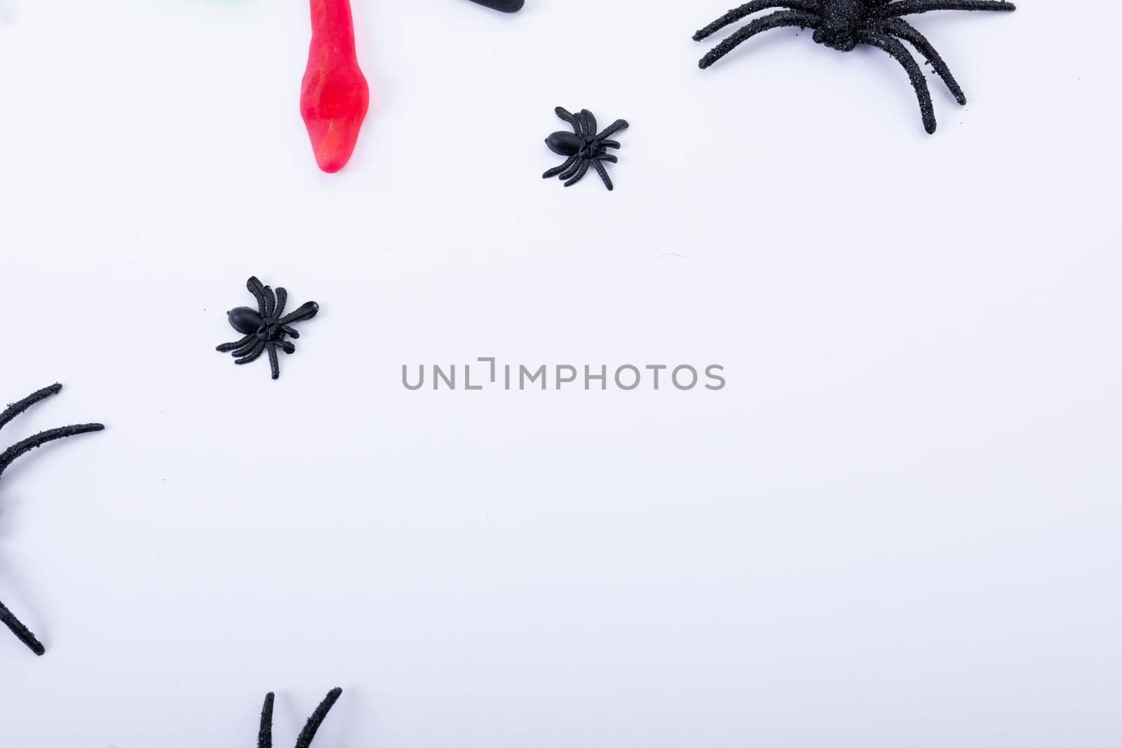 Composition of halloween spiders and sweets with copy space on white background. halloween tradition and celebration concept.