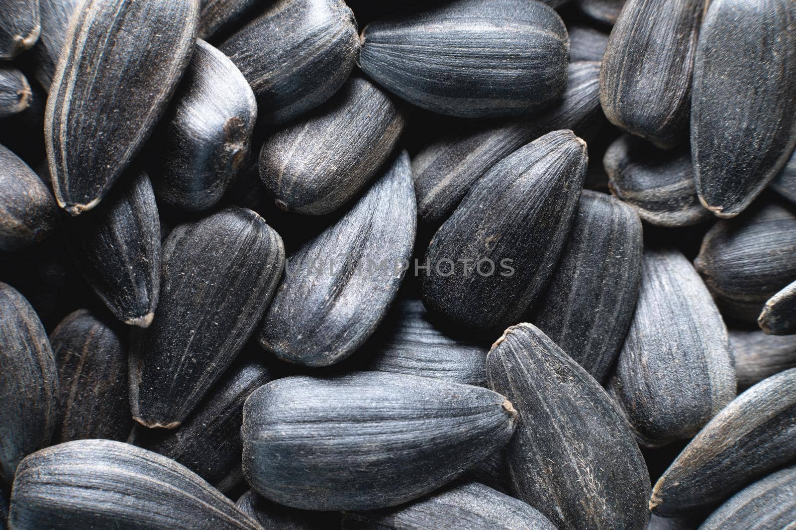 Close-up of sunflower seeds in shallow depth of field macro shot. snack food background by yanik88