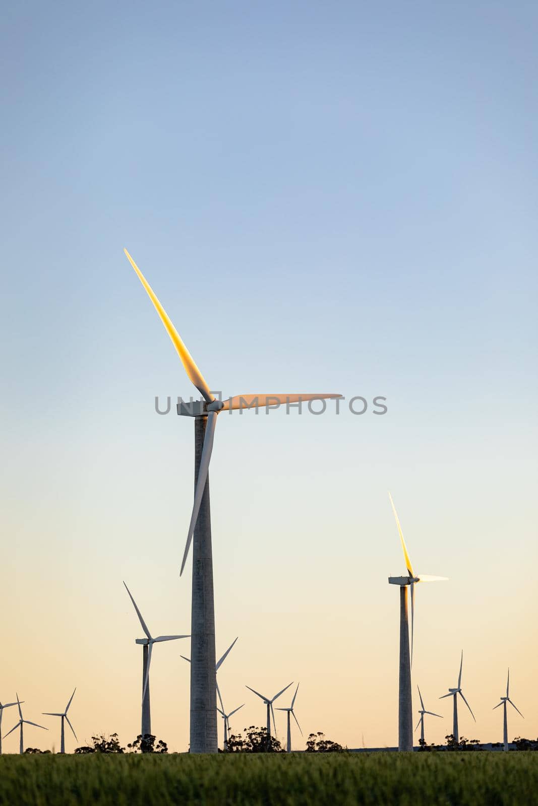 General view of wind turbines in countryside landscape with cloudless sky. environment, sustainability, ecology, renewable energy, global warming and climate change awareness.