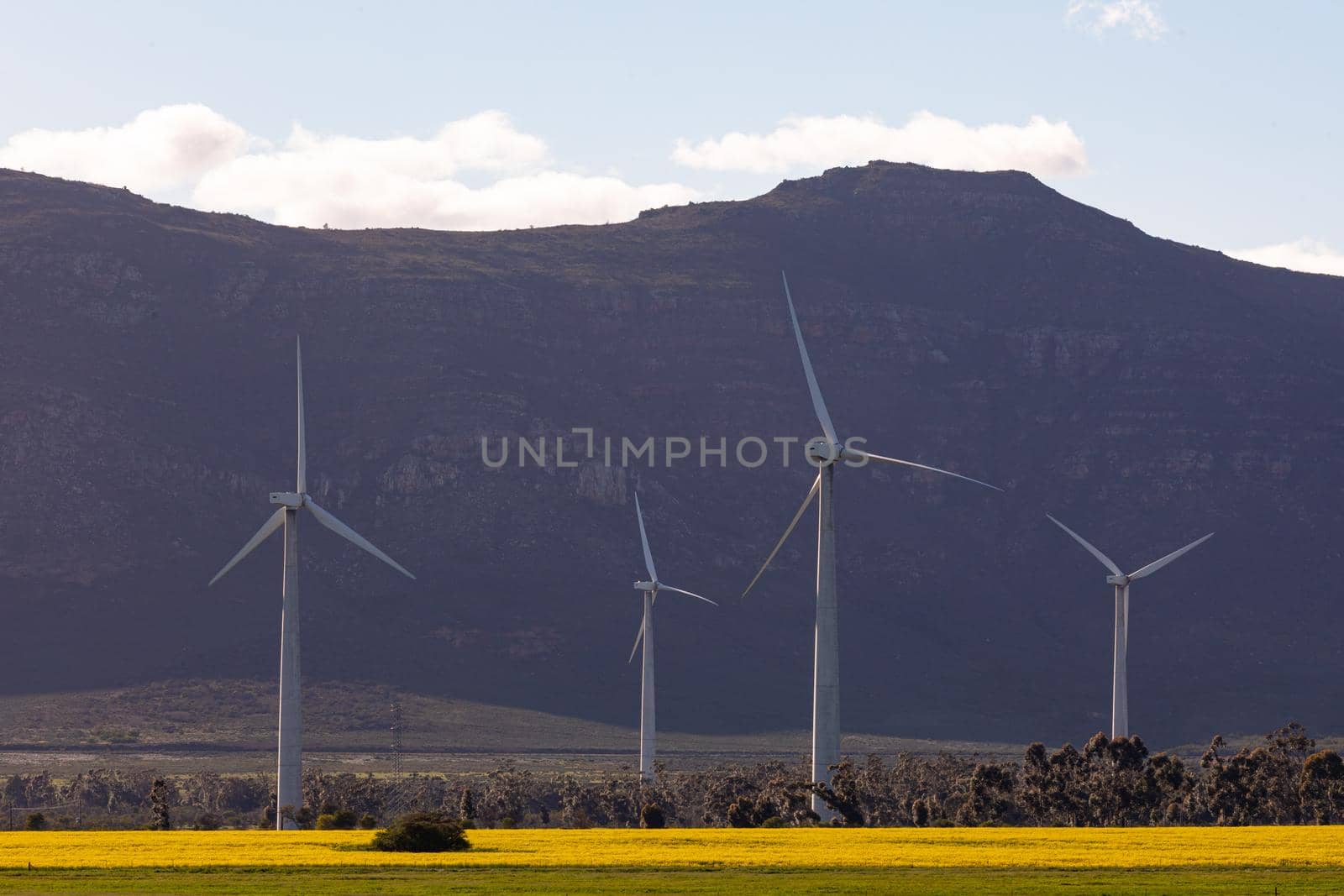General view of wind turbines in countryside landscape with cloudless sky. environment, sustainability, ecology, renewable energy, global warming and climate change awareness.