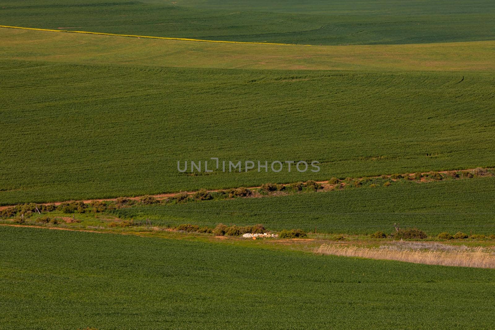 General view of countryside landscape. environment, sustainability, ecology, renewable energy, global warming and climate change awareness.