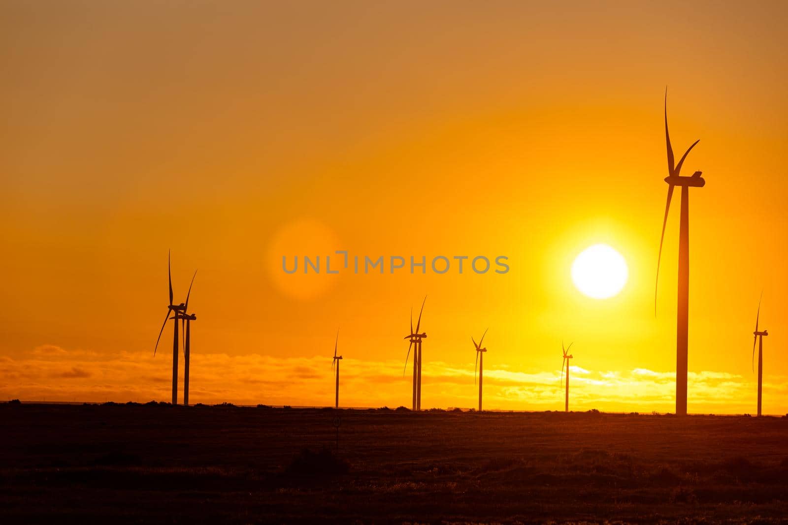 General view of wind turbines in countryside landscape during sunset. environment, sustainability, ecology, renewable energy, global warming and climate change awareness.
