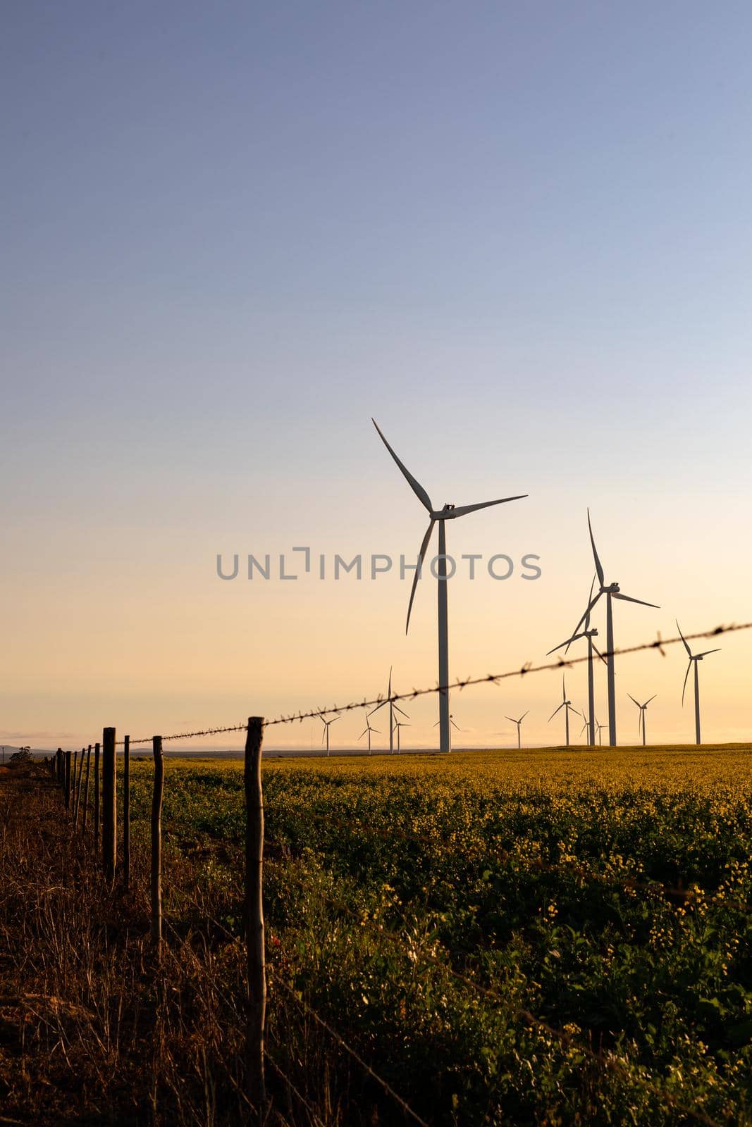 General view of wind turbines in countryside landscape with cloudless sky. environment, sustainability, ecology, renewable energy, global warming and climate change awareness.