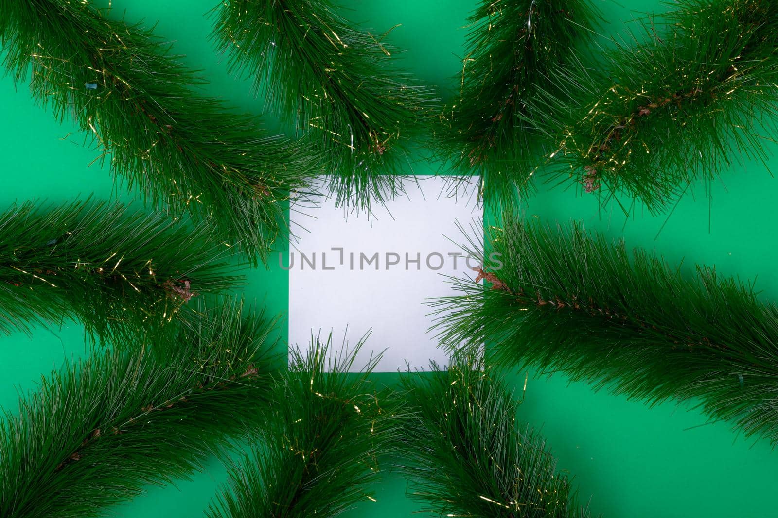 Composition of white card with copy space framed with fir tree branches on green background. christmas, tradition and celebration concept.