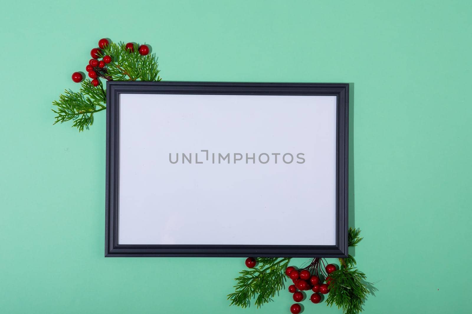 Composition of white card in frame with copy space and tree branches on green background. christmas, tradition and celebration concept.