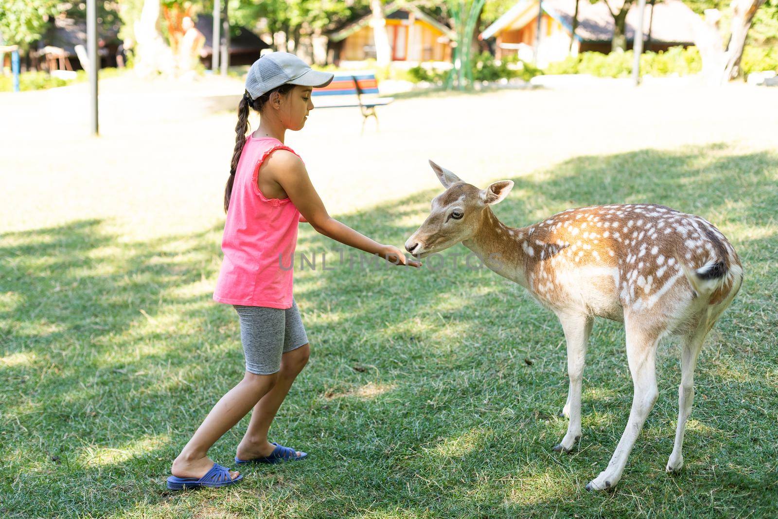 Photo of a young girl feeding deer and hugs him by Andelov13