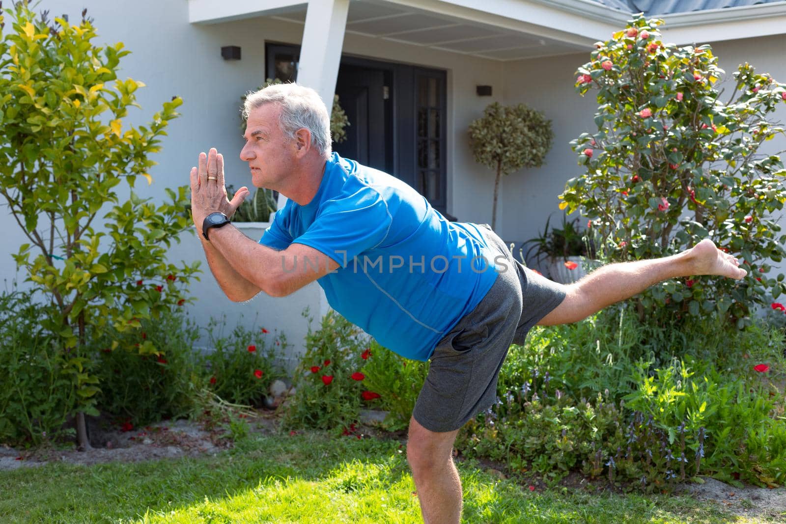 Focused caucasian senior man practicing yoga in garden. active and healthy retirement lifestyle at home and garden.