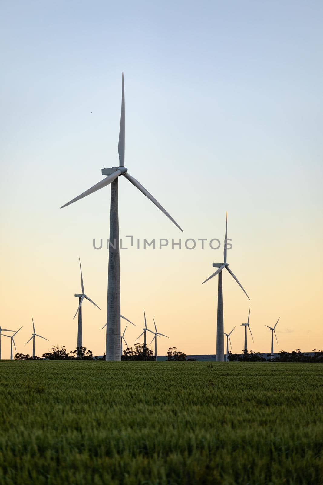 General view of wind turbines in countryside landscape with cloudless sky. environment, sustainability, ecology, renewable energy, global warming and climate change awareness.
