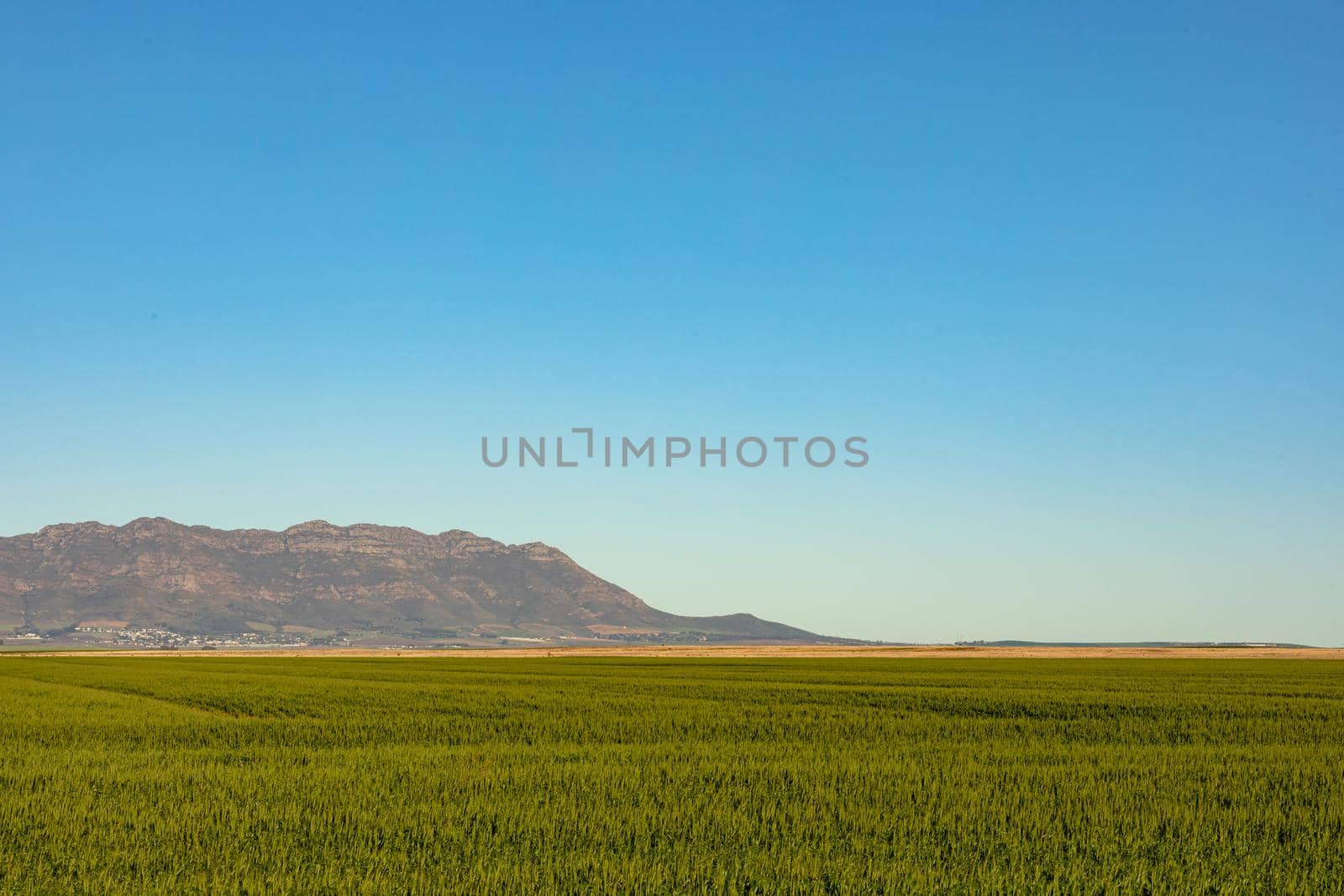 General view of countryside landscape with cloudless sky. environment, sustainability, ecology, renewable energy, global warming and climate change awareness.
