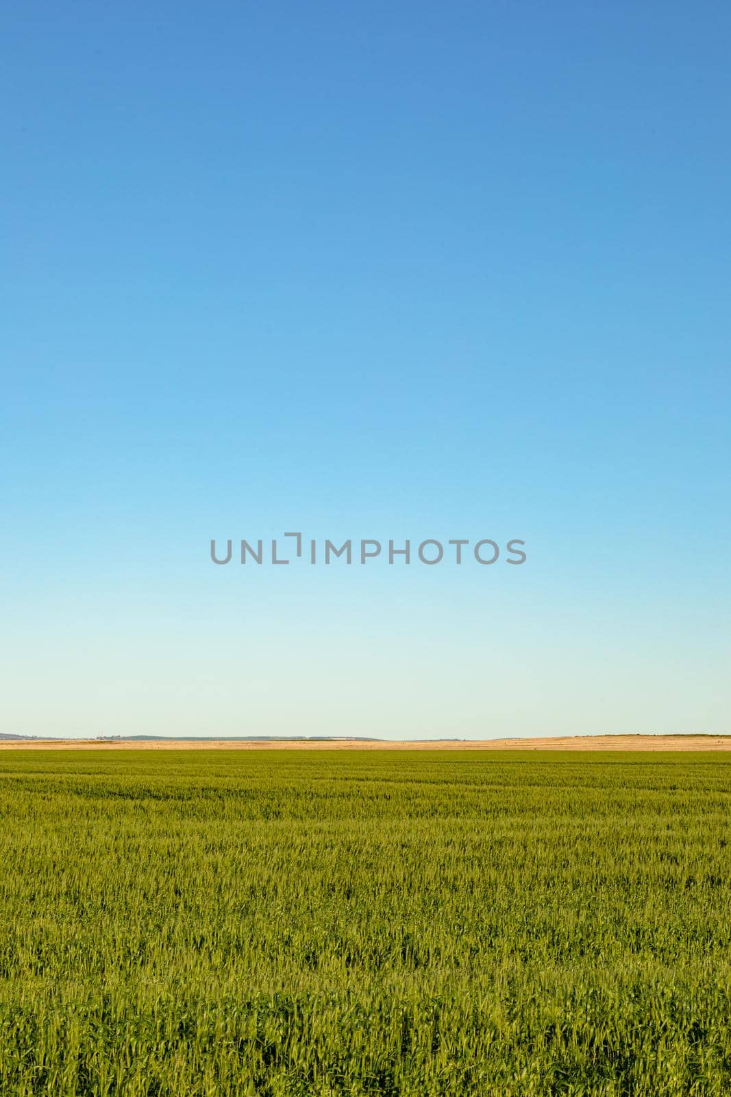 General view of countryside landscape with cloudless sky. environment, sustainability, ecology, renewable energy, global warming and climate change awareness.