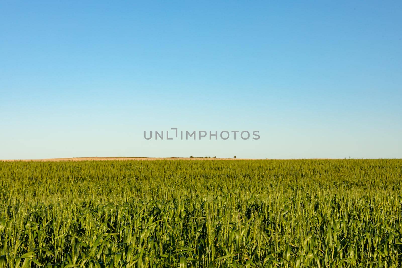General view of countryside landscape with cloudless sky. environment, sustainability, ecology, renewable energy, global warming and climate change awareness.