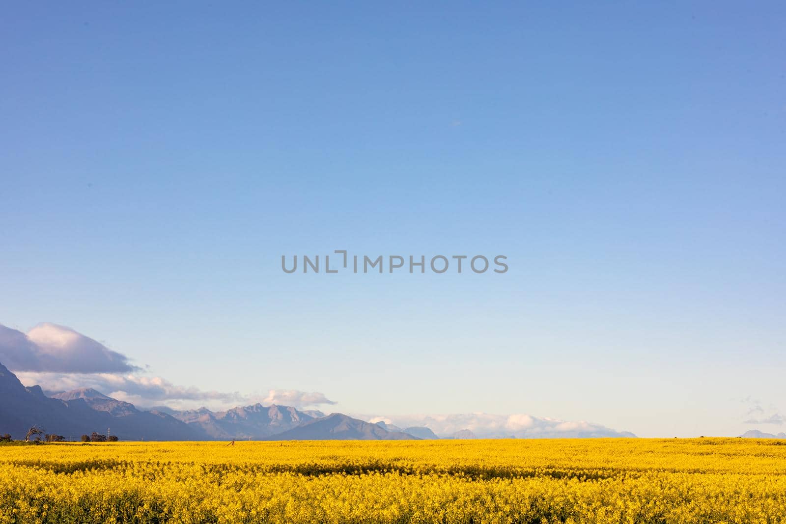 General view of countryside landscape with cloudless sky by Wavebreakmedia