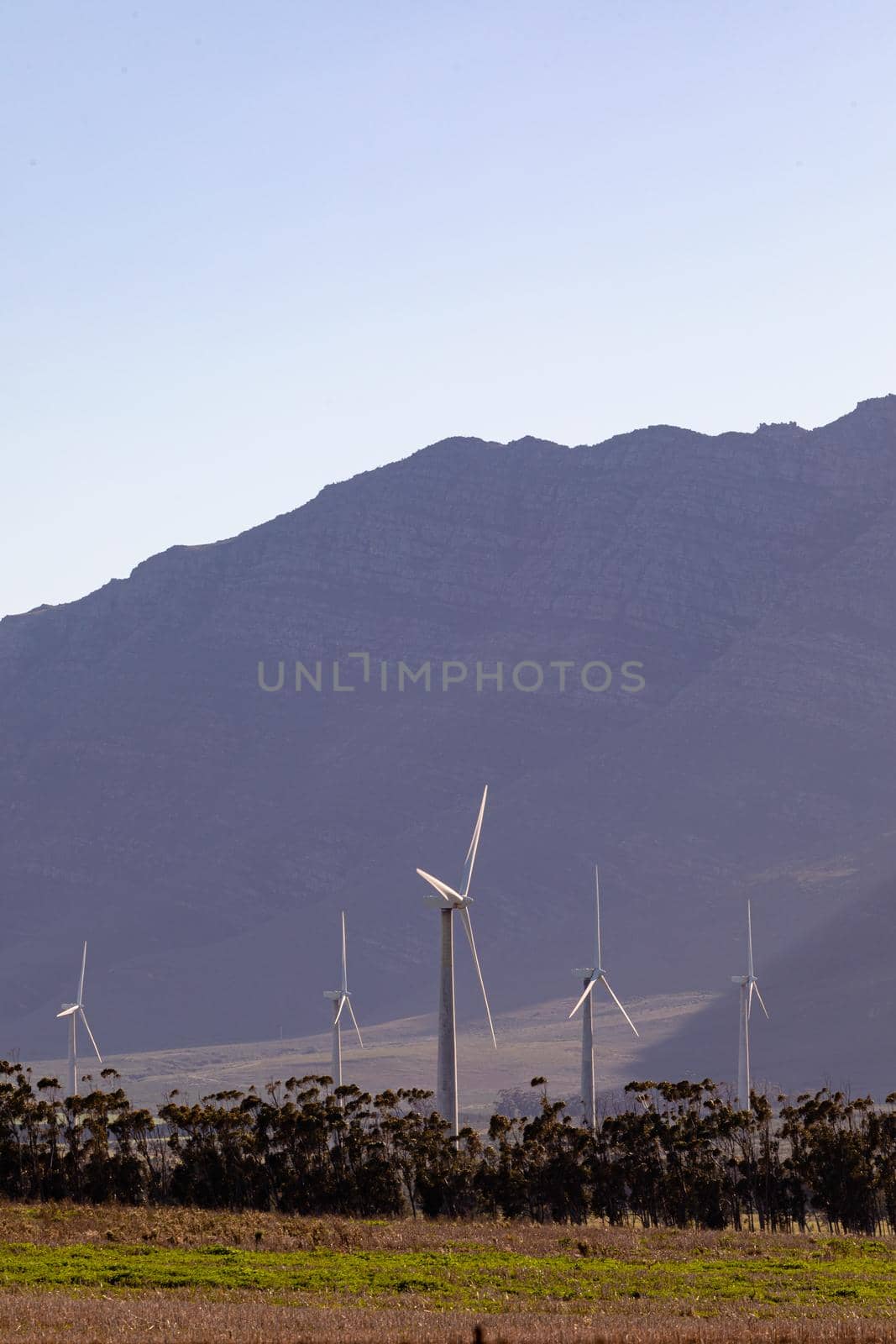 General view of wind turbines in countryside landscape with cloudless sky by Wavebreakmedia