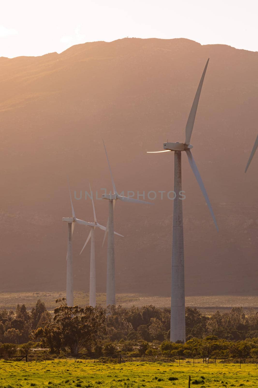 General view of wind turbines in countryside landscape with cloudless sky by Wavebreakmedia