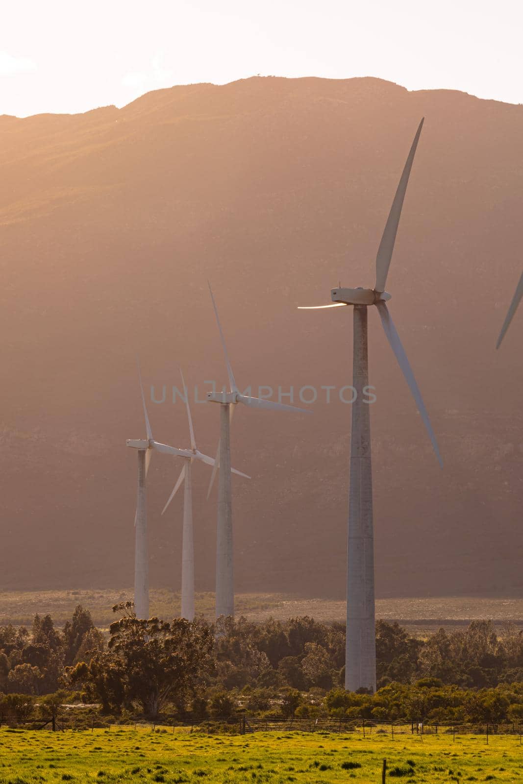 General view of wind turbines in countryside landscape with cloudless sky. environment, sustainability, ecology, renewable energy, global warming and climate change awareness.