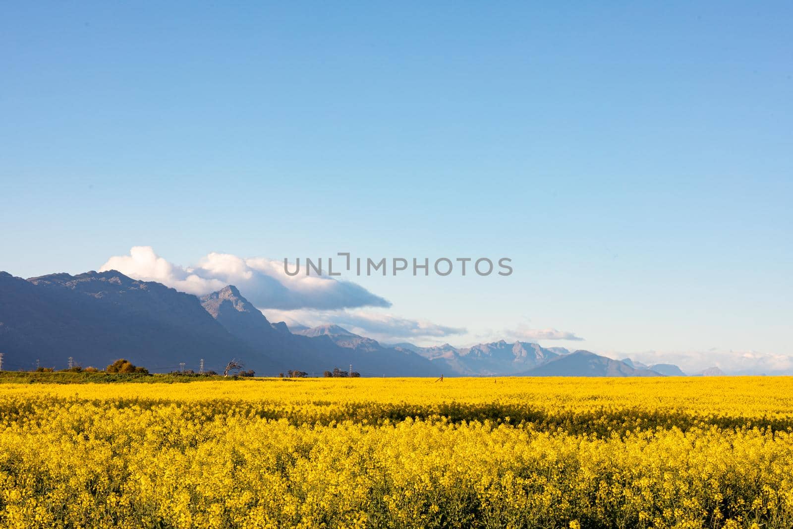 General view of countryside landscape with cloudless sky by Wavebreakmedia