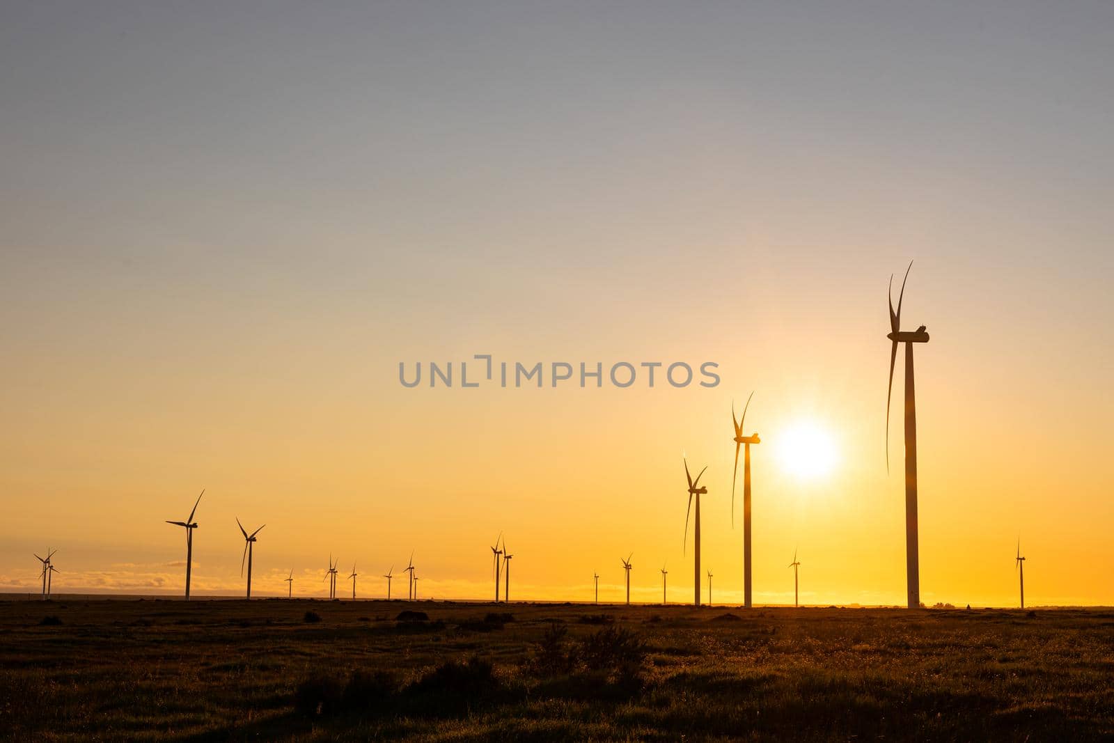 General view of wind turbines in countryside landscape during sunset. environment, sustainability, ecology, renewable energy, global warming and climate change awareness.