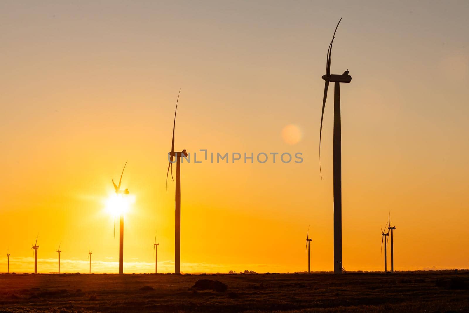 General view of wind turbines in countryside landscape during sunset. environment, sustainability, ecology, renewable energy, global warming and climate change awareness.