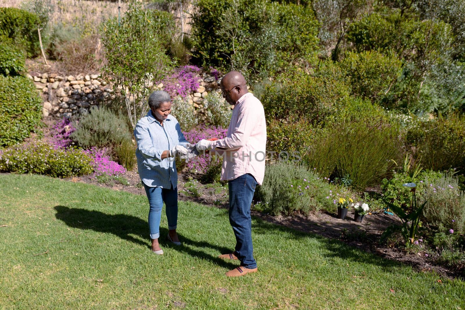 African american senior couple gardening, putting on gloves outdoors. retirement lifestyle, spending time at home and garden.