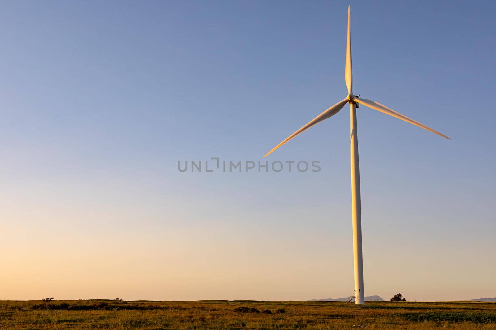 General view of wind turbine in countryside landscape during sunset by Wavebreakmedia