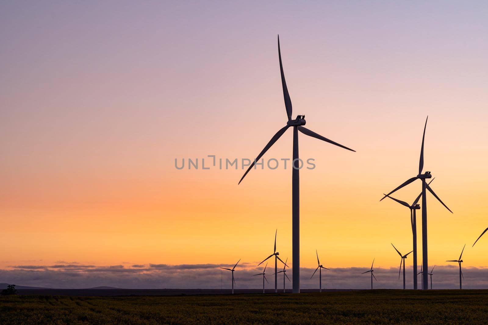 General view of wind turbines in countryside landscape during sunset by Wavebreakmedia