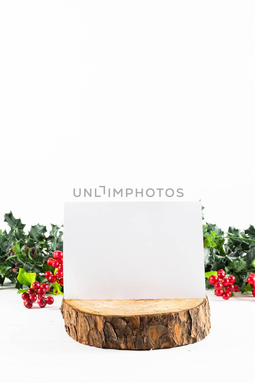 Composition of white card with copy space on log, and branches with berries on white background by Wavebreakmedia