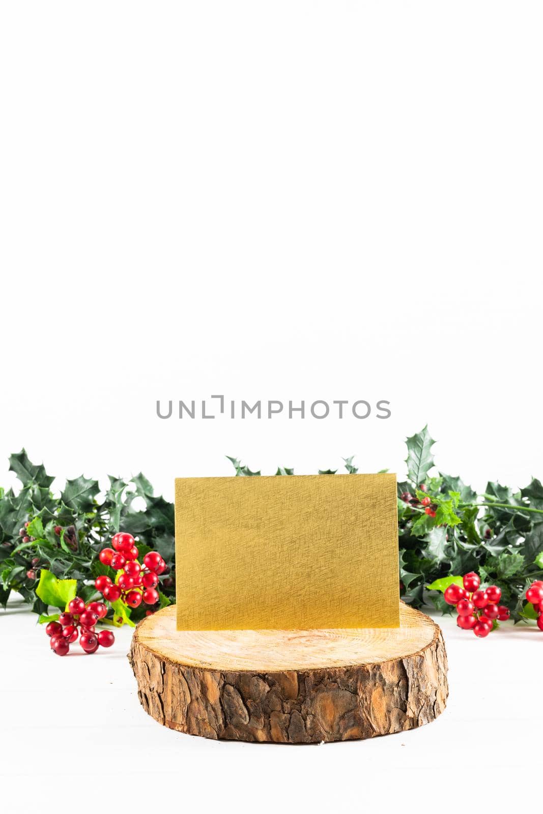 Composition of gold card with copy space on log, and branches with berries on white background by Wavebreakmedia