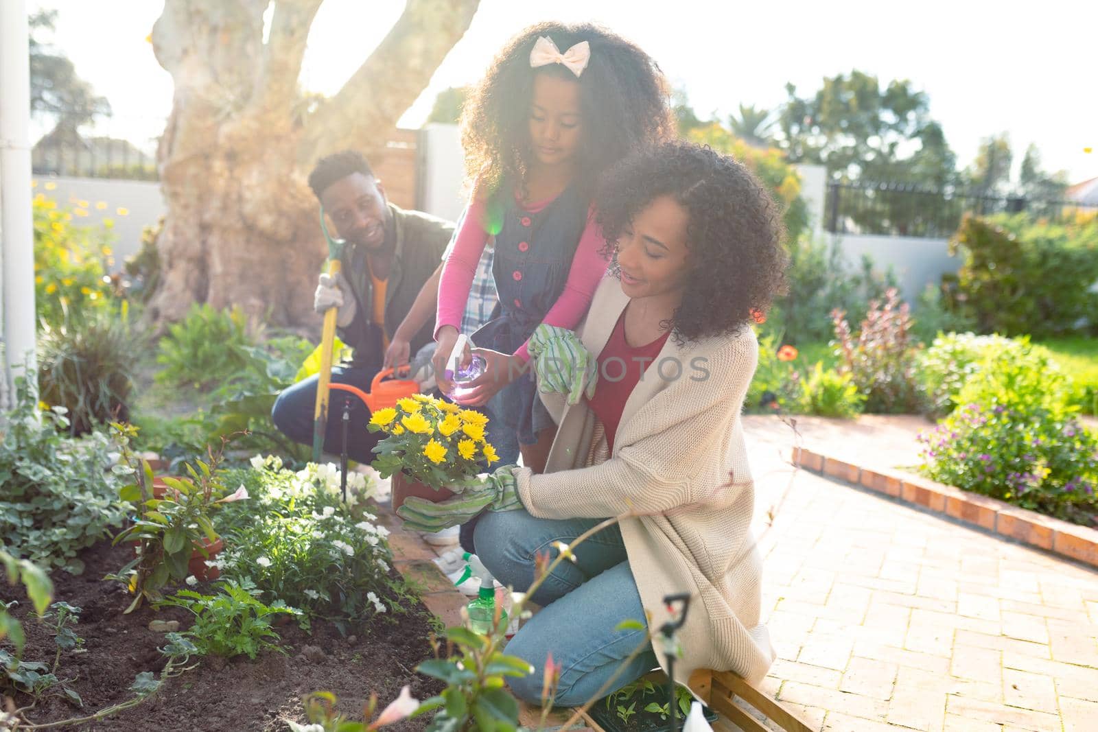 Happy african american parents and daughter gardening together. family time, having fun together at home and garden.