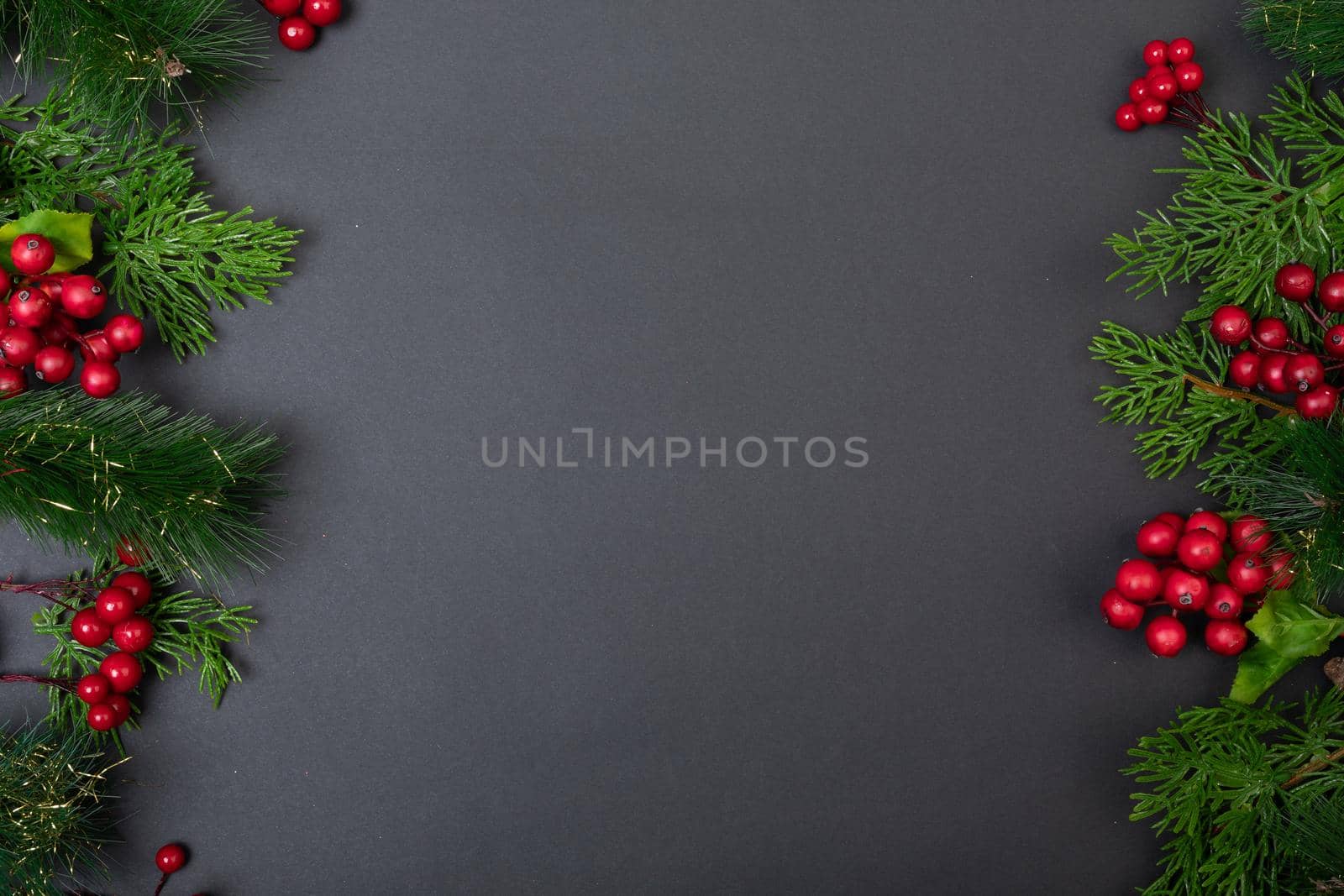 Composition of tree branches with berries and copy space on black background. christmas, tradition and celebration concept.