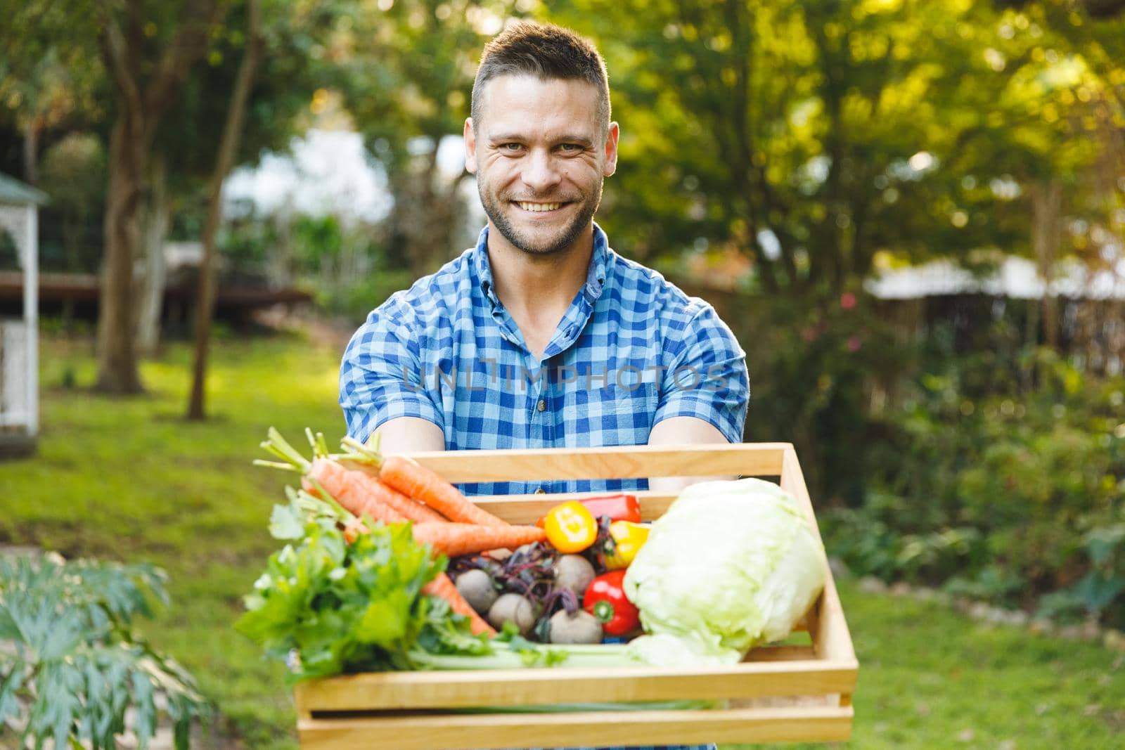 Portrait of smiling caucasian man standing in garden holding box of fresh organic vegetables. gardening, self sufficiency and growing home produce.