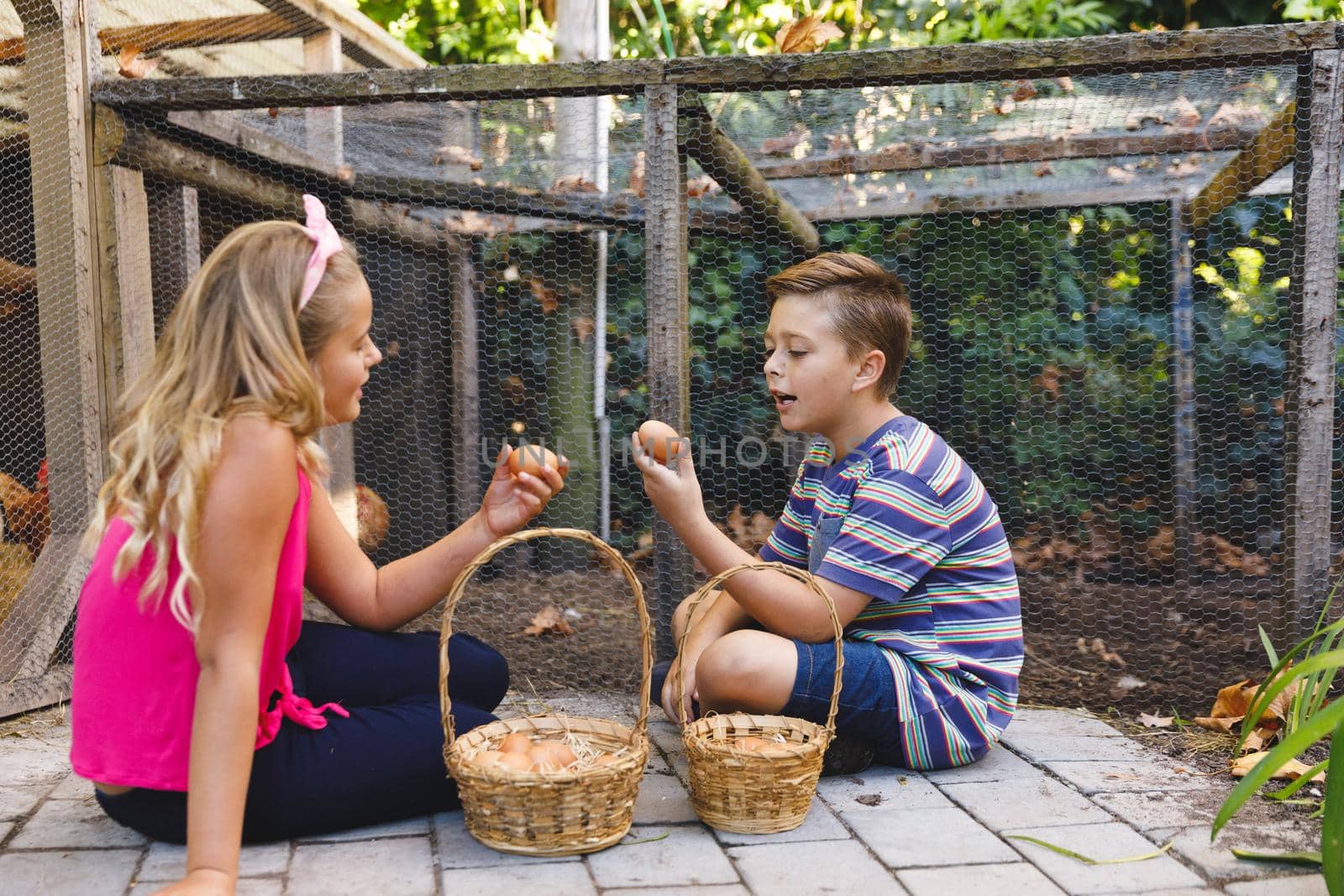 Smiling caucasian brother and sister collecting eggs from hen house in garden by Wavebreakmedia