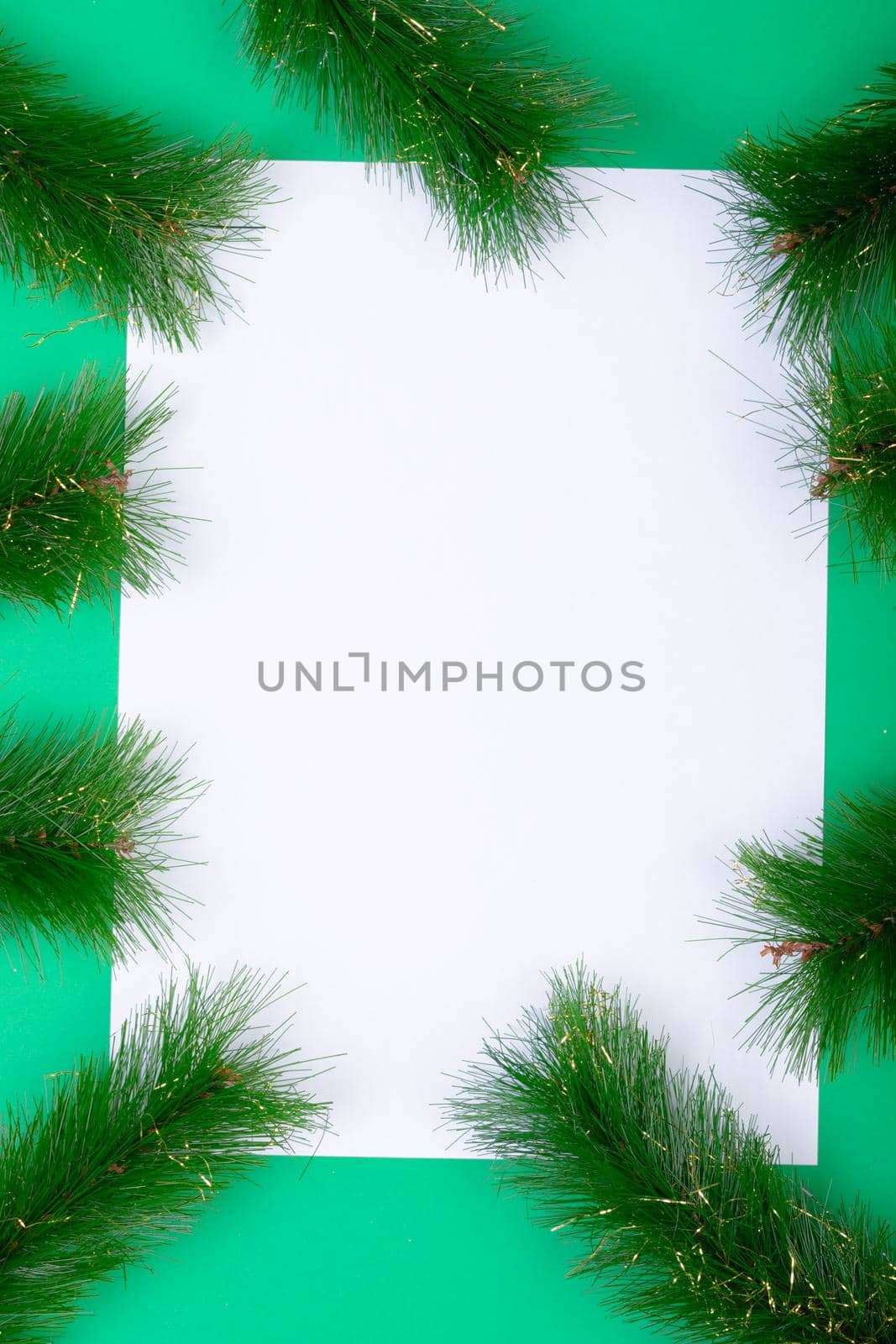 Composition of white card with copy space framed with fir tree branches on green background by Wavebreakmedia