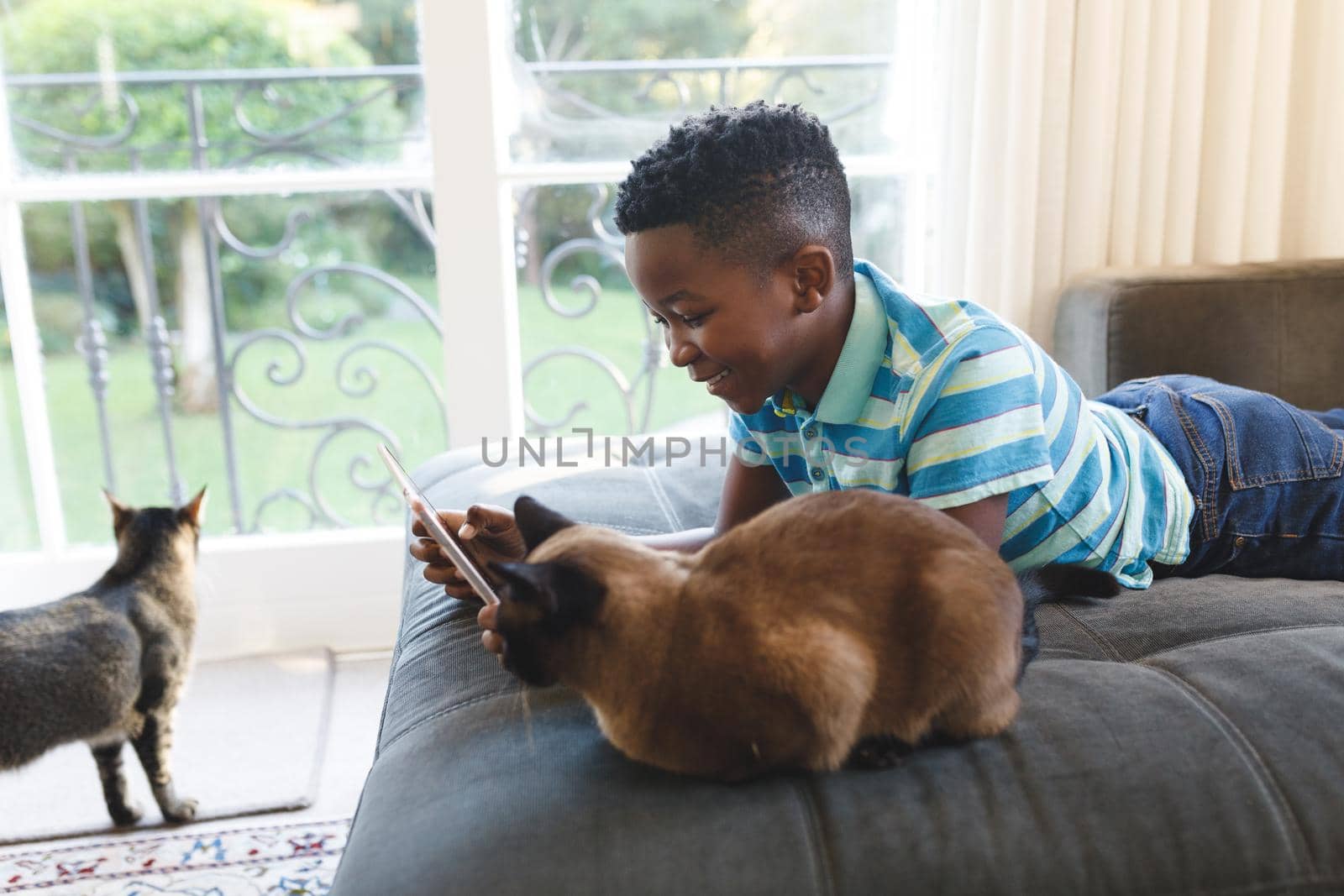 Happy african american boy using tablet and lying on couch with cats in living room by Wavebreakmedia