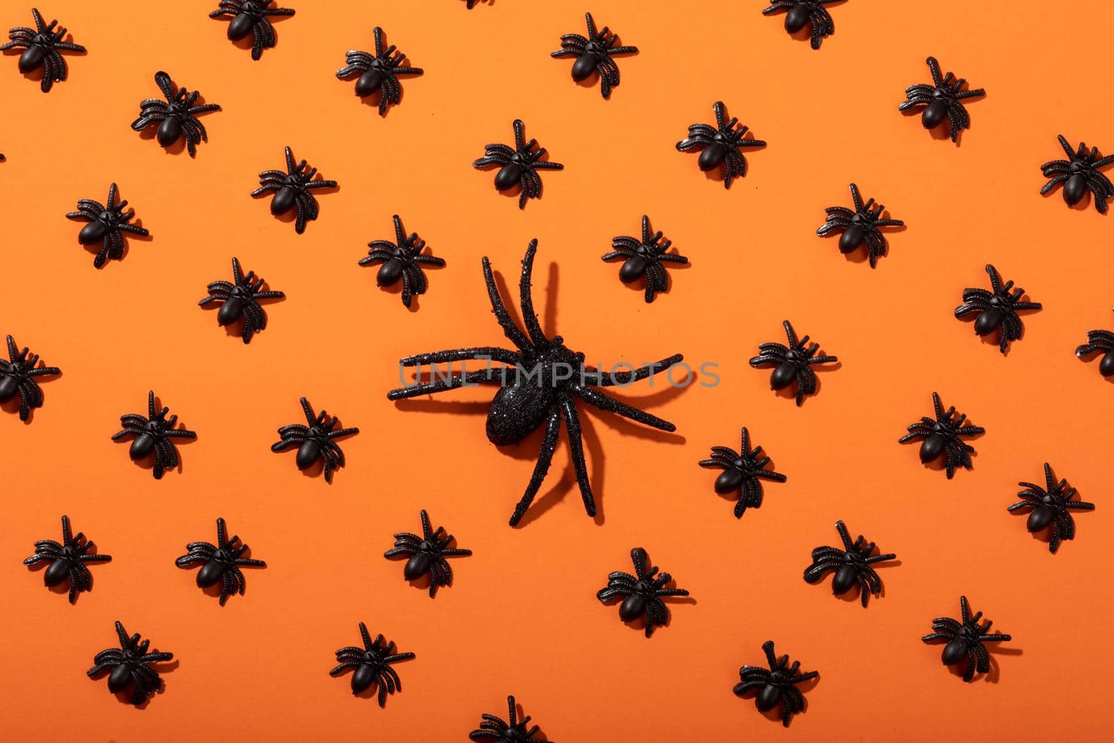 Composition of halloween decorations with rows of black spiders on orange background by Wavebreakmedia